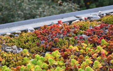 the cost of Willoughby Waterleys green roof installation